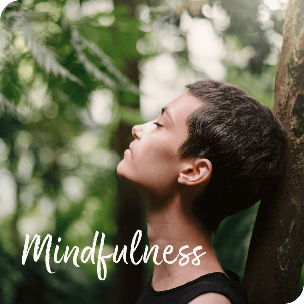 Bundeltje Mindfulness